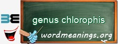 WordMeaning blackboard for genus chlorophis